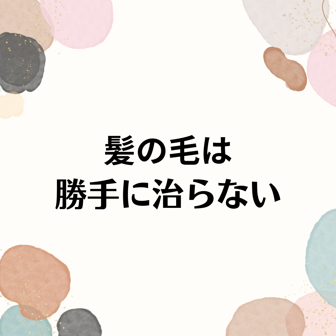 綺麗な髪のために知らなければいけない真実。